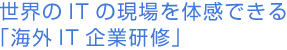 世界のITの現場を体感 できる｢海外IT企業研修｣