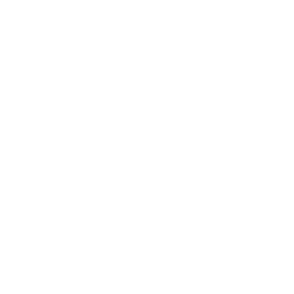 INTENSIVE PROGRAM