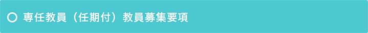 専任教員（任期付）教員募集要項