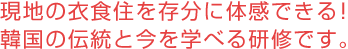 現地の衣食住を存分に体感できる！韓国の伝統と今を学べる研修です。