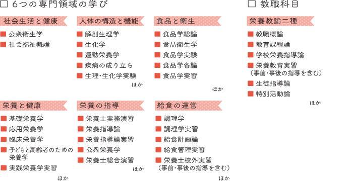 プロになるためのカリキュラム（抜粋）