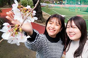 春色に輝く「桜の回廊」―キャンパスに咲く学生の笑顔と建学の精神―